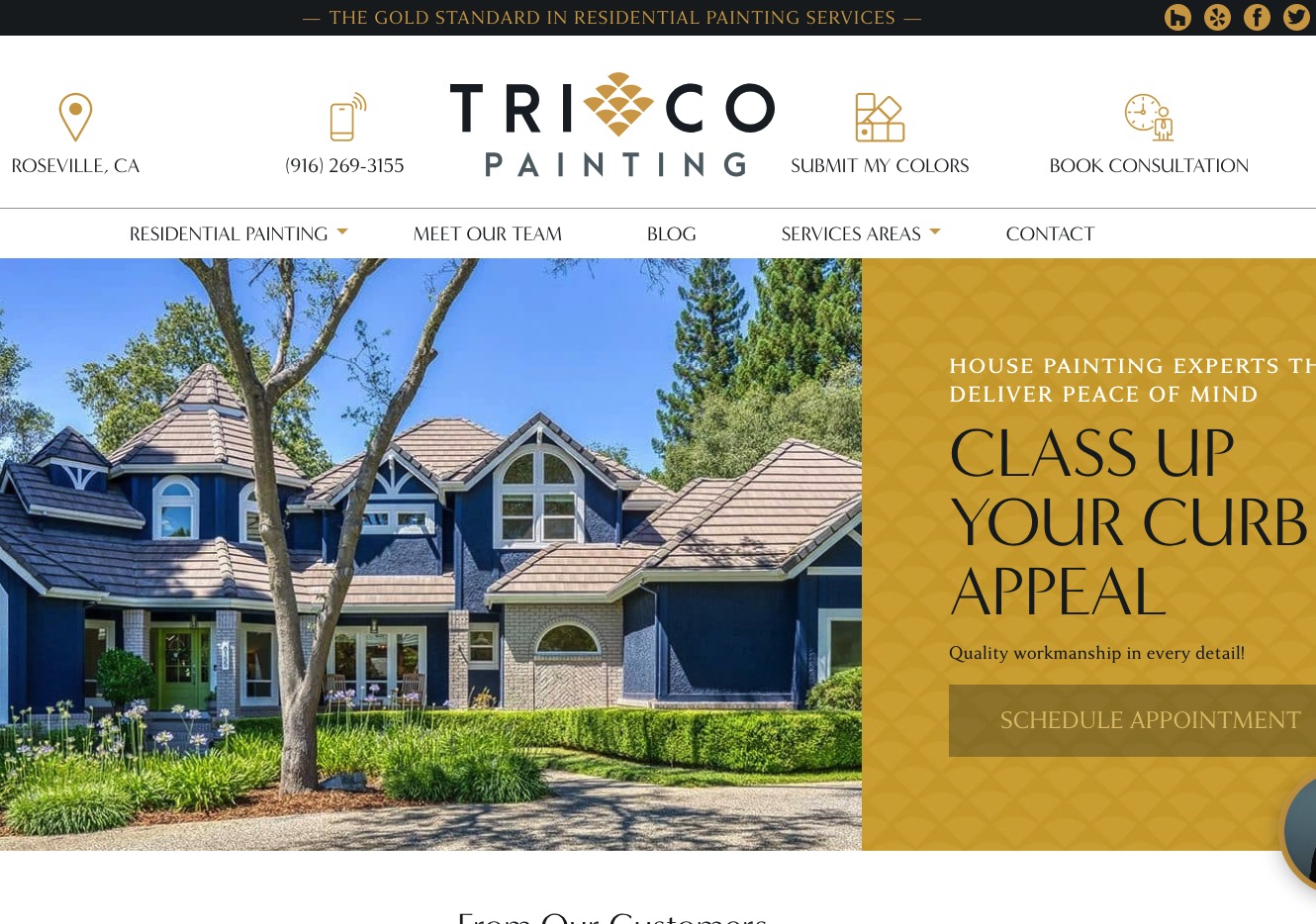Trico development project